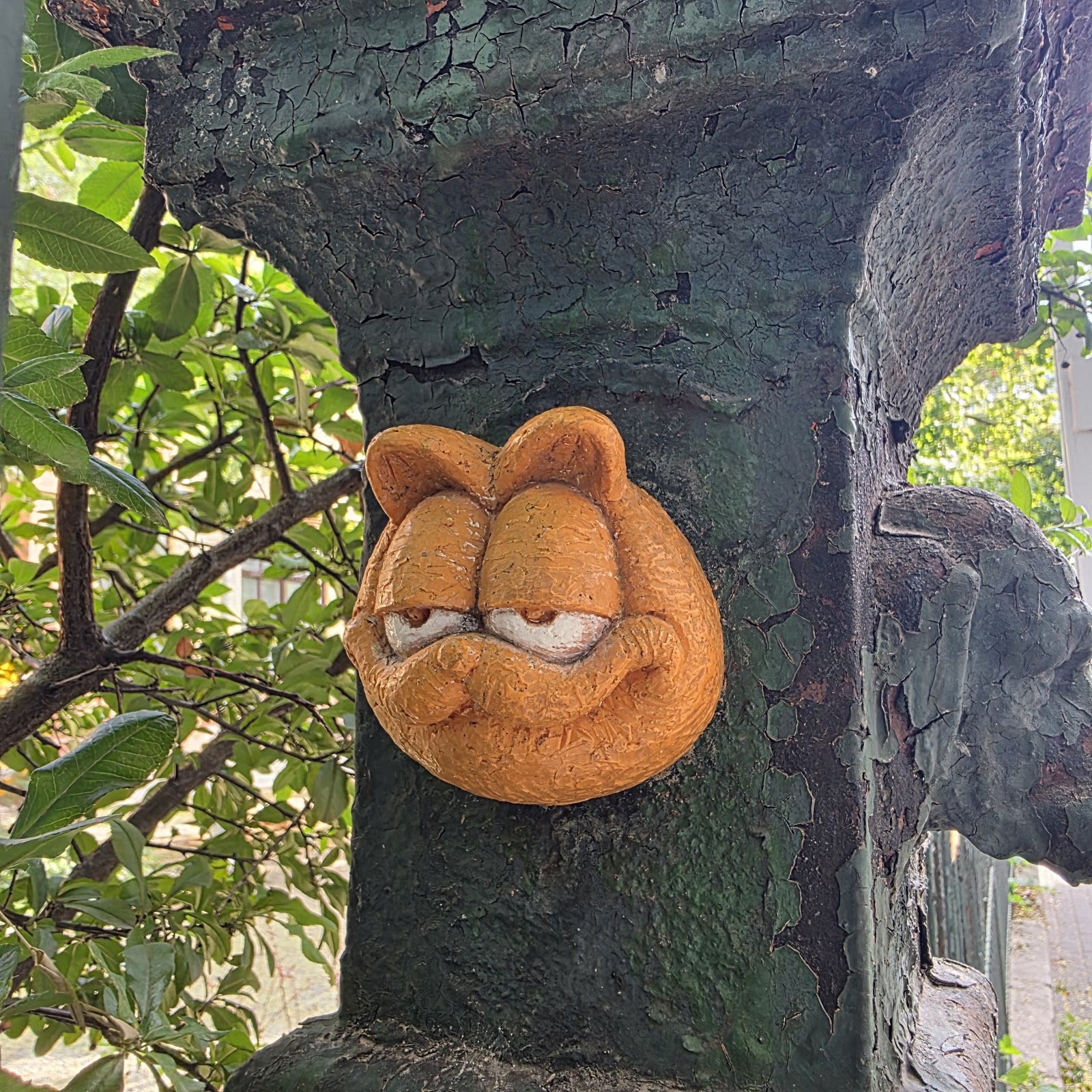 Garfield