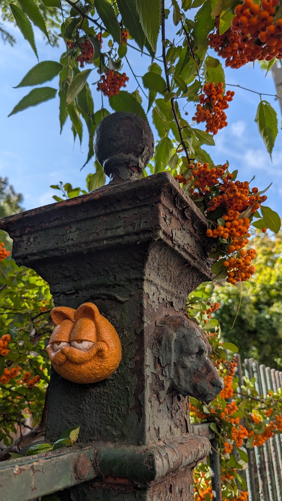 Garfield