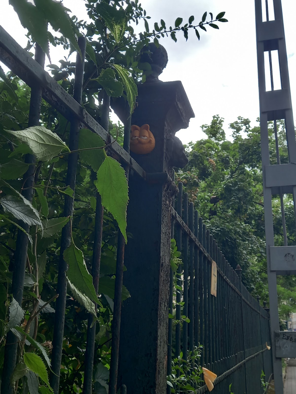 Garfield