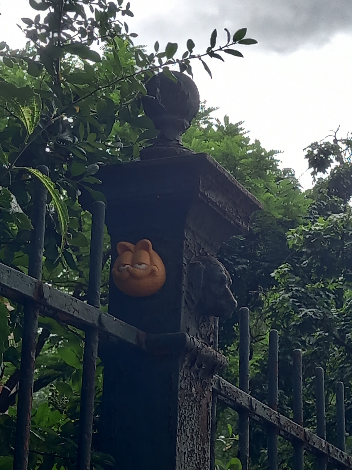 Garfield