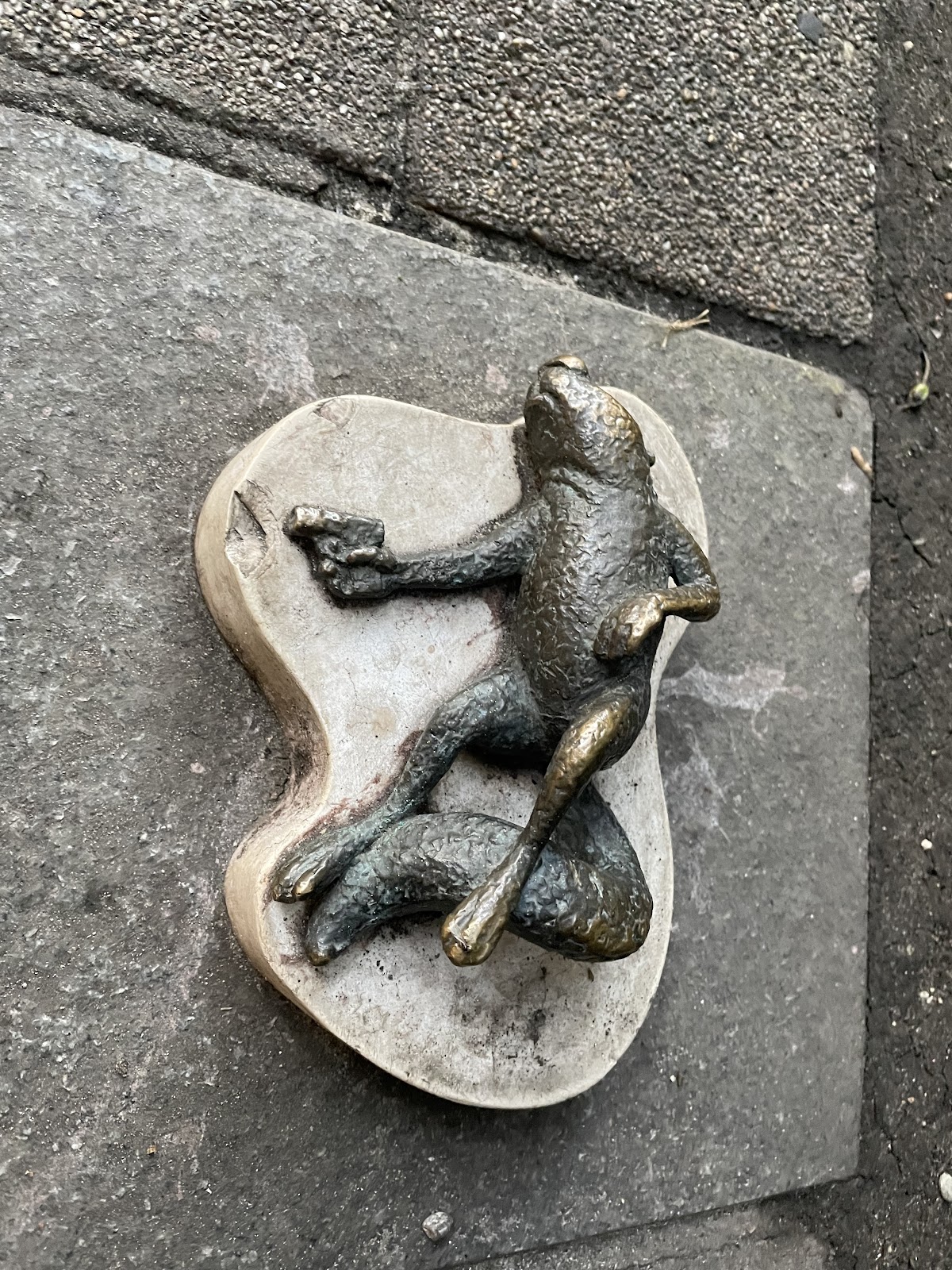 Halott mókus (Ars longa vita brevis)