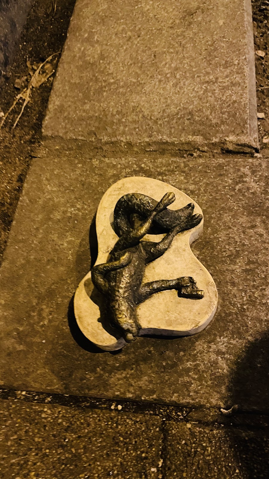 Halott mókus (Ars longa vita brevis)