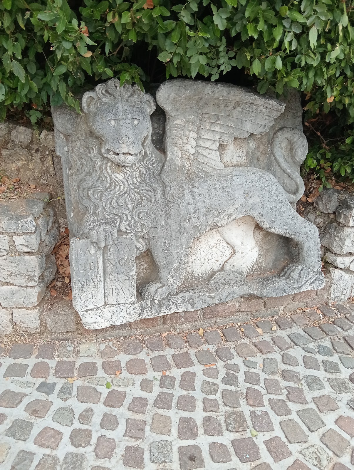 Leo