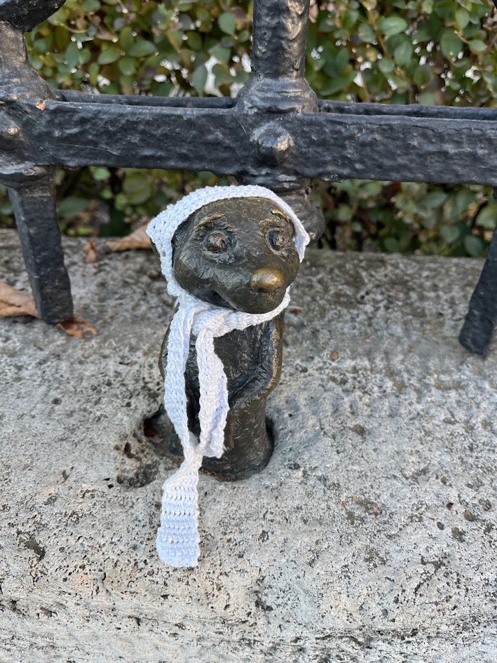 Meerkat